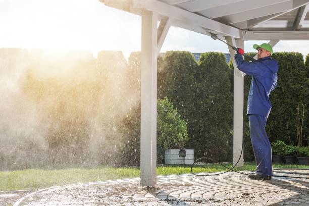Best Solar Panel Cleaning  in Hastings On Hudson, NY